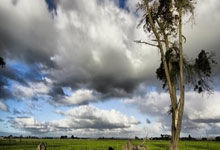 亚星体育：[高尔夫]圆石滩配对赛斯塔卡领先1杆冲冠 麦克罗伊劳瑞T2.