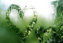 亚星体育：NBA全明星周末场外：光环背后的真实与反思_勒布朗·詹姆斯_....