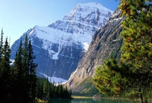 亚星体育：中国队金牌数断层领先！亚冬会三大亮点中新体坛.