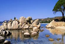 凌晨2点，沙特土豪6分大战！C罗冲击20球，为亚冠资格拼了.